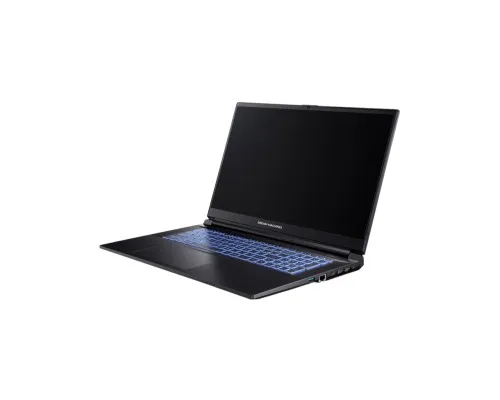 Ноутбук Dream Machines RG3060-17 (RG3060-17UA37)