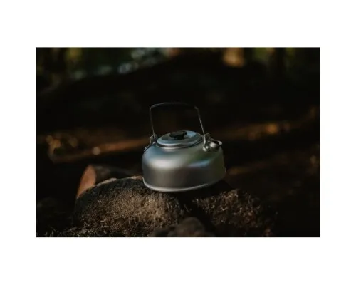 Чайник туристический Easy Camp Compact Kettle 0.9L Silver 580080 (929838)