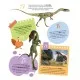 Книга Динозаври. 100 цікавих фактів - Лілія Політай Vivat (9789669829849)