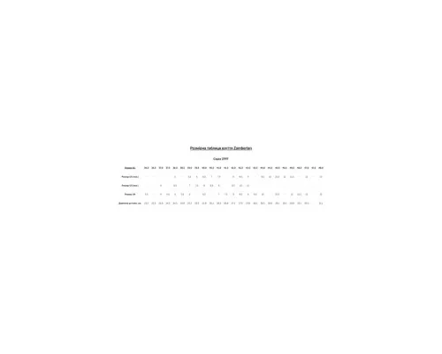 Устілка Zamberlan Thermo Comfort Fit 36 (006.1609)