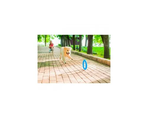 Іграшка для собак Collar PitchDog Кільце для апортування 28 см блакитне (62382)