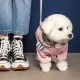 Дождевик для животных Pet Fashion ARIEL S (4823082429875)