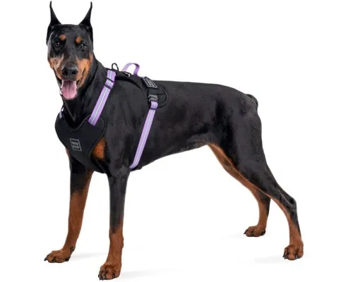 Шлей для собак WAUDOG Nylon безопасна с QR паспортом S фиолетовая (52479)