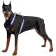 Шлей для собак WAUDOG Nylon безопасна с QR паспортом S фиолетовая (52479)