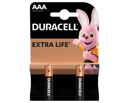 Батарейка Duracell AAA лужні 2 шт. в упаковці (5000394058170 / 81484984)