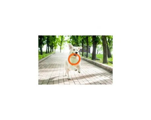 Іграшка для собак Collar PitchDog Кільце для апортування 28 см помаранчеве (62384)