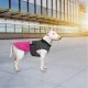 Попона для тварин Pet Fashion ROY 5XL малиново-сіра (4823082432882)