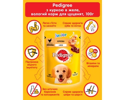 Вологий корм для собак Pedigree Junior Курка з рисом у желе 100 г (5900951017247)