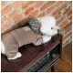 Костюм для животных Pet Fashion Soft S коричневый (4823082427895)