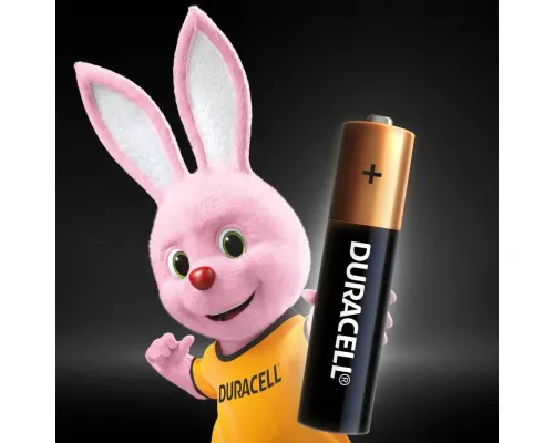 Батарейка Duracell AAA лужні 12 шт. в упаковці (5000394109254 / 81545432)