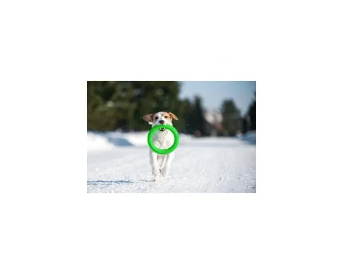 Іграшка для собак Collar PitchDog Кільце для апортування 28 см салатове (62385)