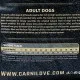 Сухий корм для собак Carnilove Adult Salmon 12 кг (8595602508907)