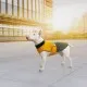 Попона для тварин Pet Fashion ROY 5XL хакі-гірчиця (4823082432813)