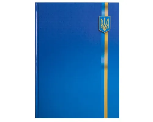 Канцелярська книга Buromax А4 UKRAINE, 96 аркушів, клітинка (BM.2400-38)