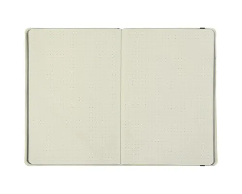 Книга записная Buromax Etalon 125x195 мм 96 листов в точку обложка из искусственной кожи Салатовая (BM.291360-15)