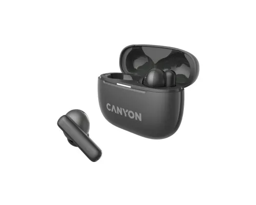 Навушники Canyon TWS-10 OnGo ANC ENC Graphite (CNS-TWS10B)