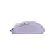 Мишка Trust Ozaa Wireless Purple (25384)