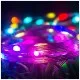 Гирлянда ColorWay Smart LED RGB WiFi+Bluetooth 10M 66LED IP65 (CW-GS-66L10UMC)