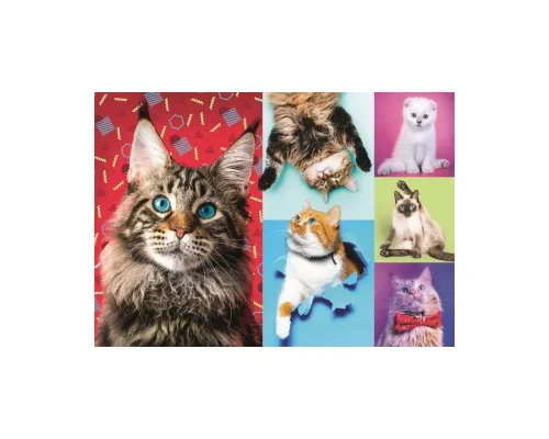 Пазл Trefl Веселые коты, 1000 элементов (6336395)