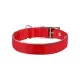 Нашийник для тварин Collar Dog Extremе 20 мм 30-40 см (червоний) (67033)