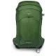 Рюкзак туристический Osprey Stratos 24 seaweed/matcha green O/S (009.3589)