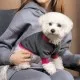 Толстовка для тварин Pet Fashion BIM S (4823082430307)