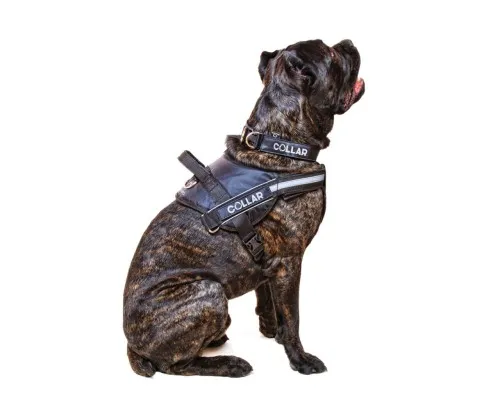 Шлей для собак Dog Extreme Police N4 с фонариком 70-100 см красная (07073)