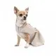 Платье для животных Pet Fashion Miya S (4823082434480)