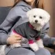 Толстовка для животных Pet Fashion BIM XS (4823082430284)