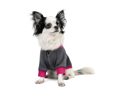 Толстовка для тварин Pet Fashion BIM XS (4823082430284)