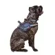 Шлея для собак Dog Extreme Police N4 з ліхтариком 70-100 см чорна (07071)