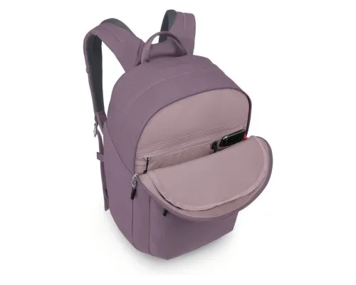 Рюкзак туристичний Osprey Arcane XL Day purple dusk heather O/S (009.001.0194)