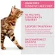 Вологий корм для кішок Optimeal з чутливим травленням з ягням та філе індички в соусі 85 г (4820215364003)