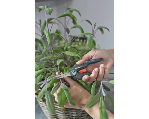 Ножиці садові Gardena FreshCut для трави і квітів (12212-20.000.00)