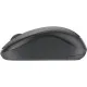 Мышка Logitech M240 Silent for Business Wireless/Bluetooth Graphite (910-007182)