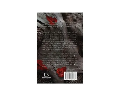 Книга Плоть і вогонь. Книга 1: Тінь у жариві - Дженніфер Л. Арментраут BookChef (9786175481813)