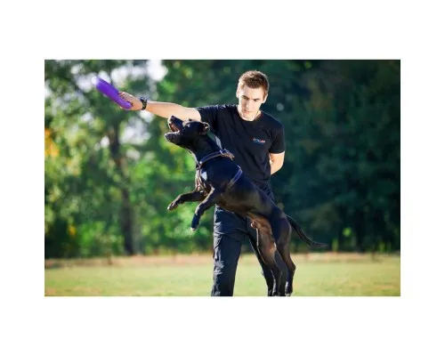 Игрушка для собак Puller Standard Тренировочный снаряд 28 см 2 шт (6490)