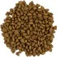 Сухой корм для кошек Savory Adult Cat Sensitive Digestion Fresh Lamb and Turkey 2 кг (4820232630082)