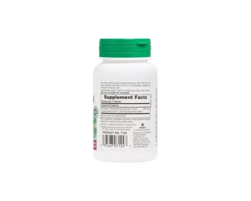 Травы Natures Plus Босвелин, 300 мг, Boswellin, Herbal Actives, 60 Вегетарианских Капсул (NAP-07124)