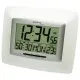 Настенные часы Technoline WS8100 White/Silver (DAS301806)