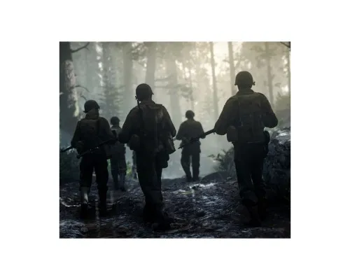 Игра Sony Call of Duty WWII [PS4] (1101406)