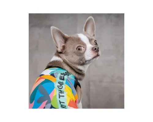 Борцівка для тварин Pet Fashion Cool M різнобарвна (4823082420193)
