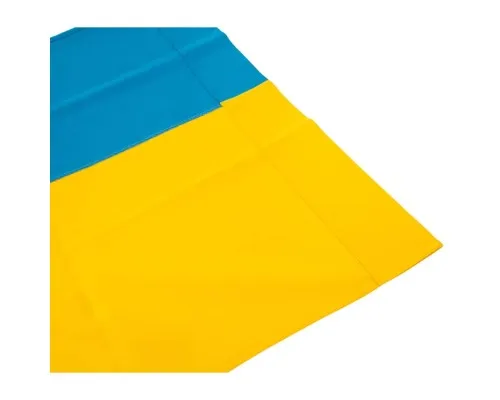 Прапор Vinga Україна, державний, 60*90см (VFUS090G)