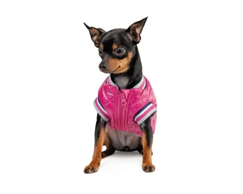 Бомбер для тварин Pet Fashion Grace XS (4823082430147)