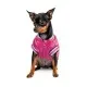 Бомбер для животных Pet Fashion Grace XS (4823082430147)