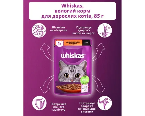 Вологий корм для кішок Whiskas Домашній птах у соусі 85 г (5900951302015)