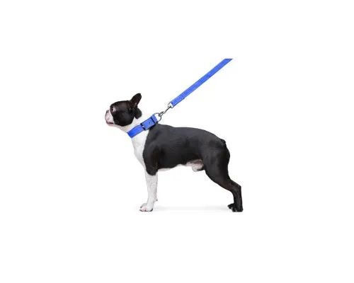 Повідок для собак Dog Extreme з нейлону подвійний Ш 20 мм Д 122 см блакитний (42982)