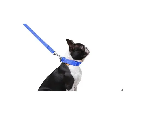 Повідок для собак Dog Extreme з нейлону подвійний Ш 20 мм Д 122 см блакитний (42982)