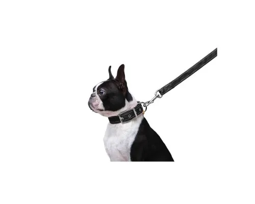 Повідок для собак Dog Extreme з нейлону подвійний Ш 20 мм Д 122 см чорний (42981)