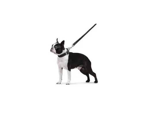 Повідок для собак Dog Extreme з нейлону подвійний Ш 20 мм Д 122 см чорний (42981)